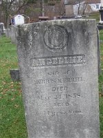 Angeline Merrill Angeline Merrill