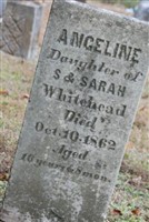 Angeline Whitehead Angeline Whitehead