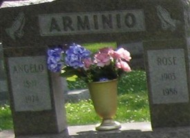 Angelo Arminio