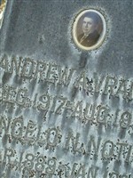 Angelo N. Notis Angelo N. Notis