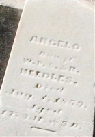 Angelo Needles Angelo Needles