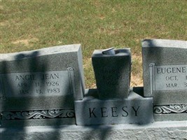 Angie Jean Keesy Angie Jean Keesy