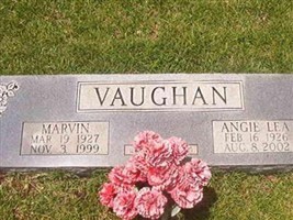 Angie Lea Vaughan