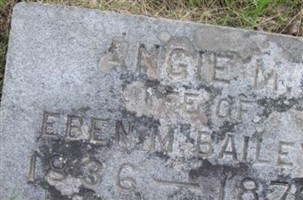 Angie M. Bailey Angie M. Bailey