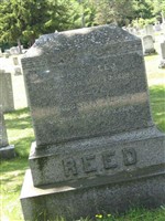 Angiolina Alger Reed Angiolina Alger Reed