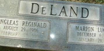 Angleas Reginald DeLand Angleas Reginald DeLand