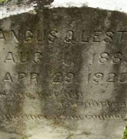 Angus Q. Lester Angus Q. Lester