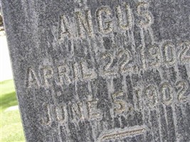 Angus Walke