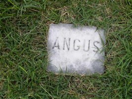 Angus Walke