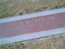 Anian Bergstrom