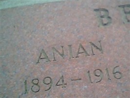 Anian Bergstrom