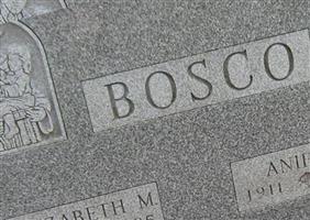 Aniel J. Bosco