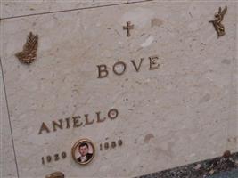 Aniello Bove (1266817.jpg)