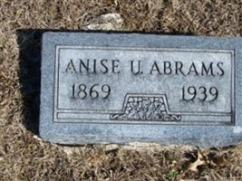 Anise Abrams