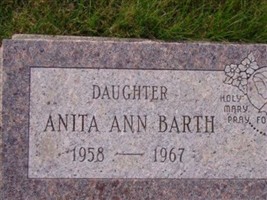 Anita Ann Barth Anita Ann Barth