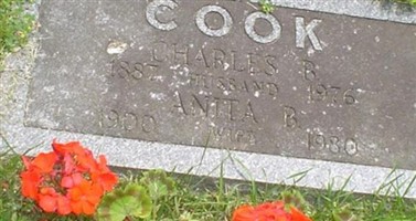 Anita B Cook Anita B Cook