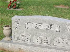 Anita Beth Henry Taylor