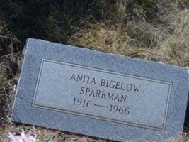 Anita Bigelow Sparkman Anita Bigelow Sparkman