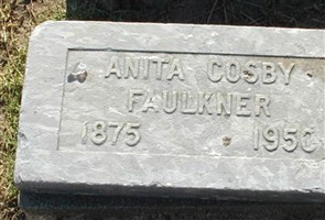 Anita Cosby Faulkner