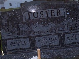 Anita Faye Foster
