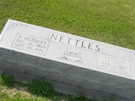 Anita M Giffel Nettles