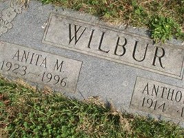 Anita M. Wilbur Anita M. Wilbur
