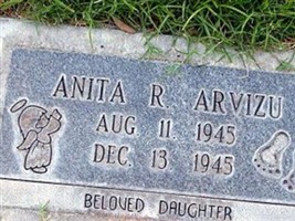 Anita Robles Arvizu Anita Robles Arvizu