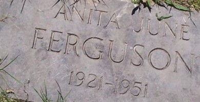 Anita Sue Ferguson Anita Sue Ferguson