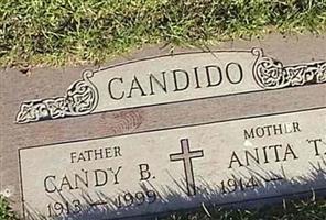 Anita T. Candido