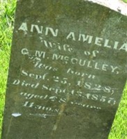 Ann Amelia Mcculley Ann Amelia Mcculley