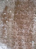 Ann Amelia Mitchell Holland Ann Amelia Mitchell Holland