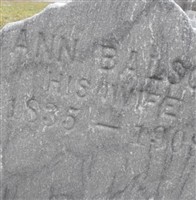 Ann Bray