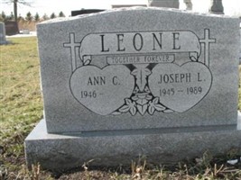 Ann C. Leone