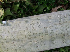Ann D. Garrow Ann D. Garrow