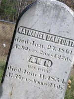 Ann Danforth Ann Danforth