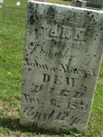 Ann Dew