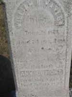 Ann Dumont Naylor