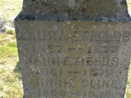 Ann E. Fields Ann E. Fields