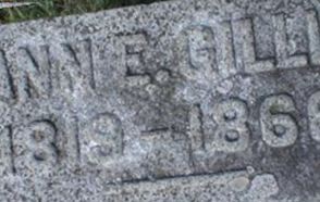 Ann E. Gillis