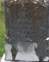 Ann E. Talbott