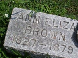Ann Eliza Brown