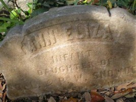 Ann Eliza Snowden