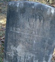 Ann E R Garrison