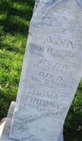 Ann Findlay Ann Findlay