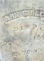 Ann Guile Ann Guile
