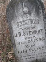 Ann H Stewart