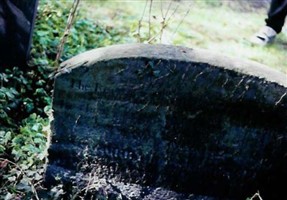 Ann Hall Curry (Currie)