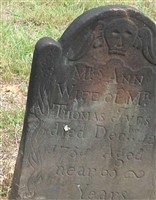 Ann Ives Ann Ives