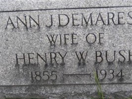 Ann J Demarest Bush