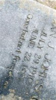 Ann J Johnson Ann J Johnson